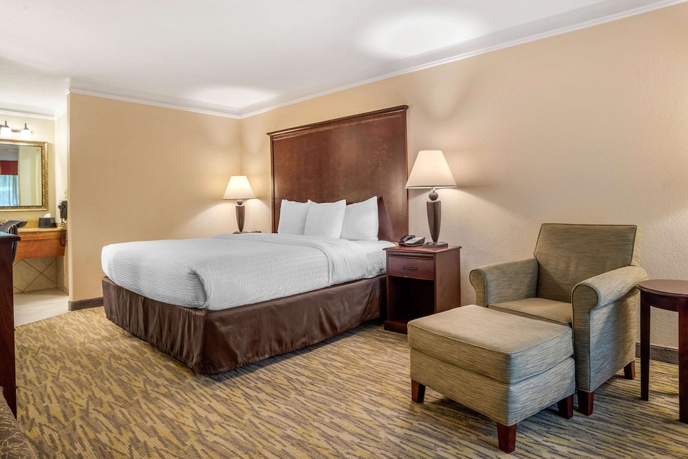 Standard Room, 1 King Bed, Non Smoking photo 1
