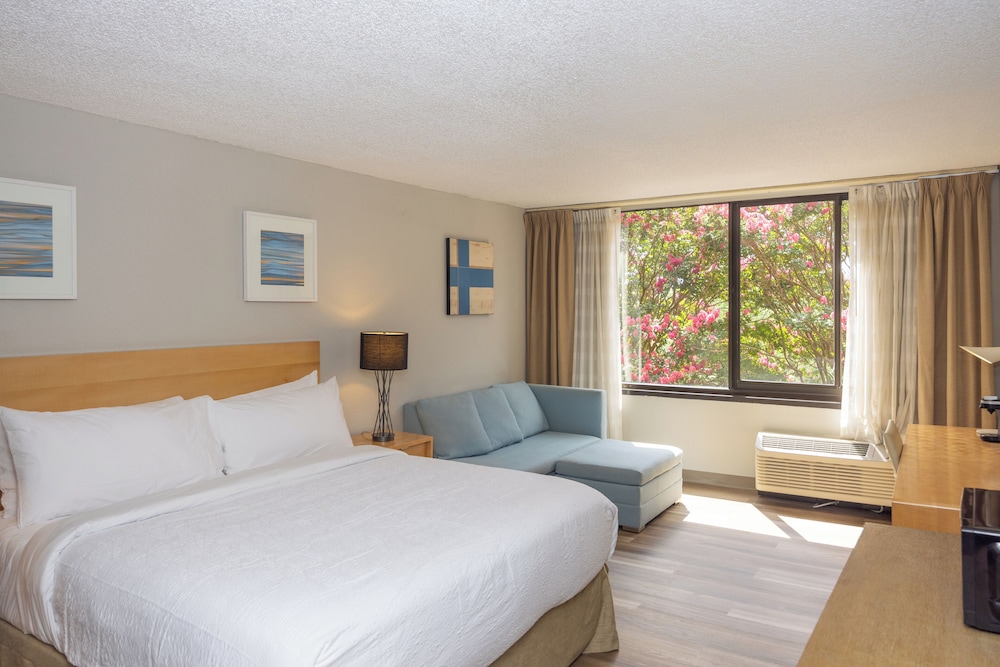King Suite photo 1