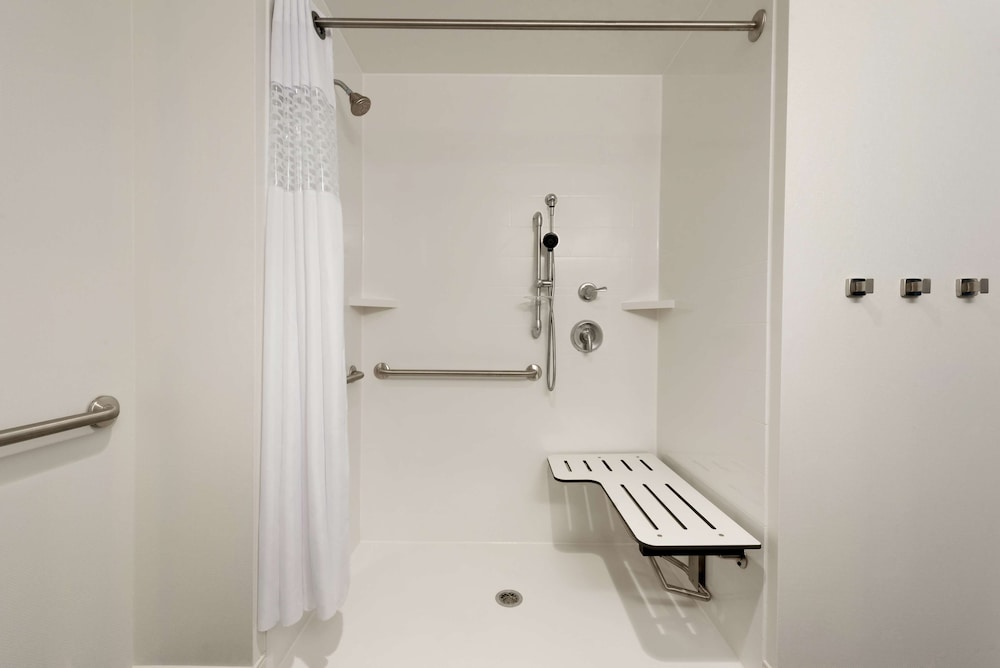 Room, 1 King Bed, Accessible, Non Smoking (Roll In Shower)