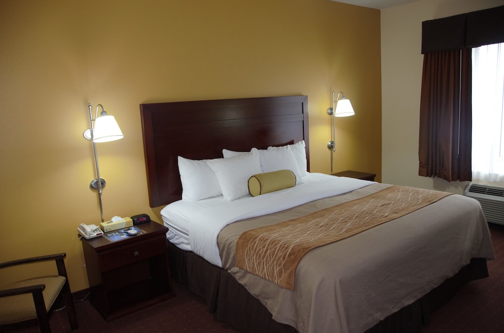 Room, 1 King Bed, Non Smoking - Photo 2