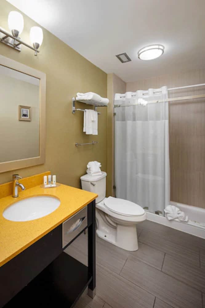 bathroom with a sink, toilet, and bathtub