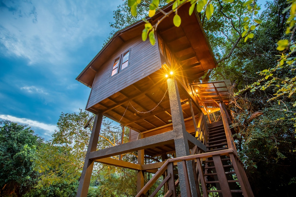 BIRD'S NEST (TREE HOUSE) photo 3