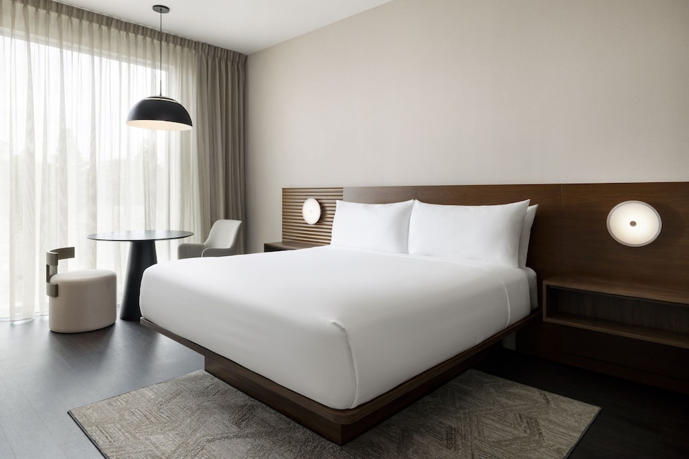 Standard Room, 1 King Bed (Mobility Accessible, Roll-in Shower) - Photo 3