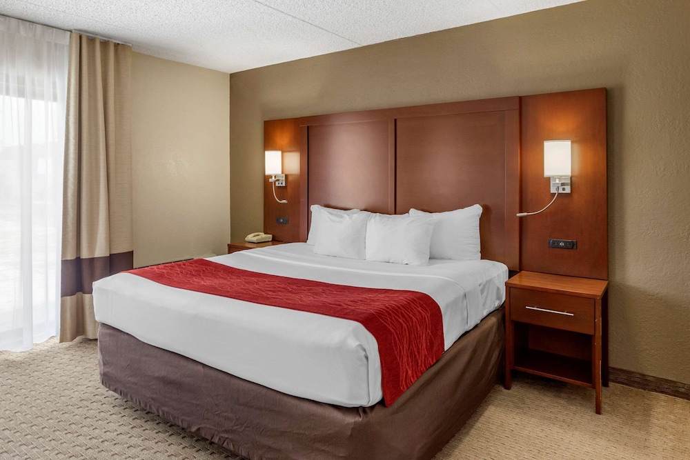 Standard Room, 1 King Bed with Sofa bed, Accessible, Non Smoking (Roll In Shower) - Photo 1