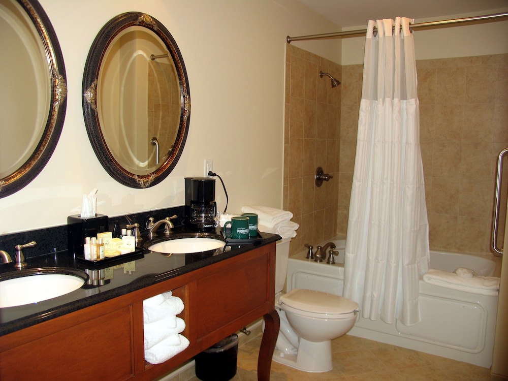 Blue Ridge Suite, Accessible photo 3