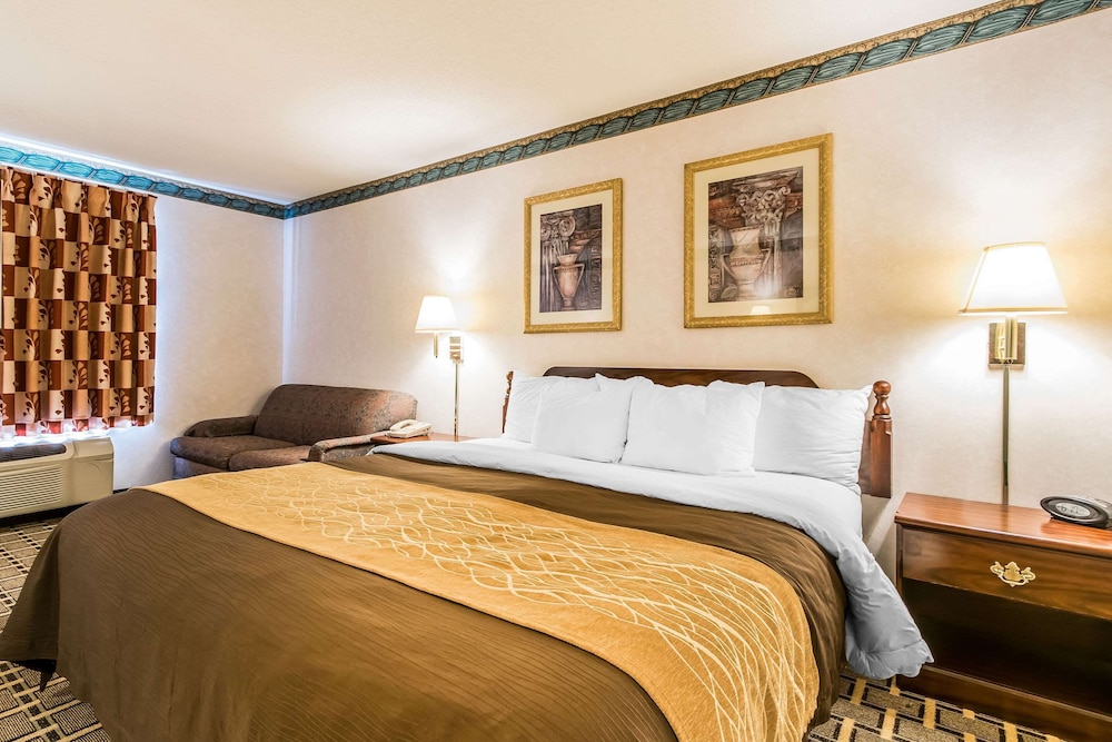 Standard Room, 1 King Bed, Non Smoking photo 1