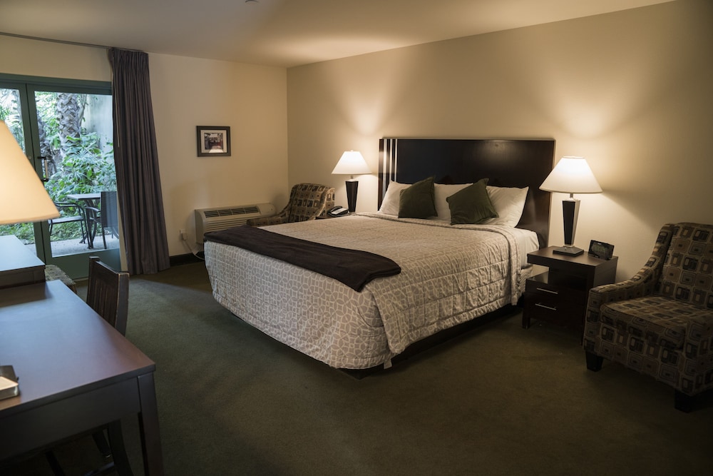 Deluxe Single Room, 1 King Bed, Courtyard View
