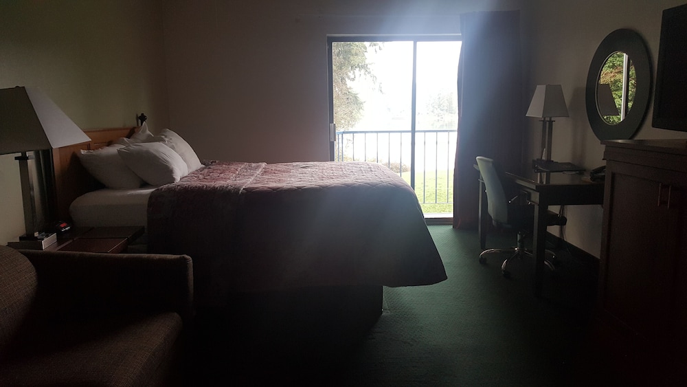 Deluxe Room, 1 Queen Bed photo 3