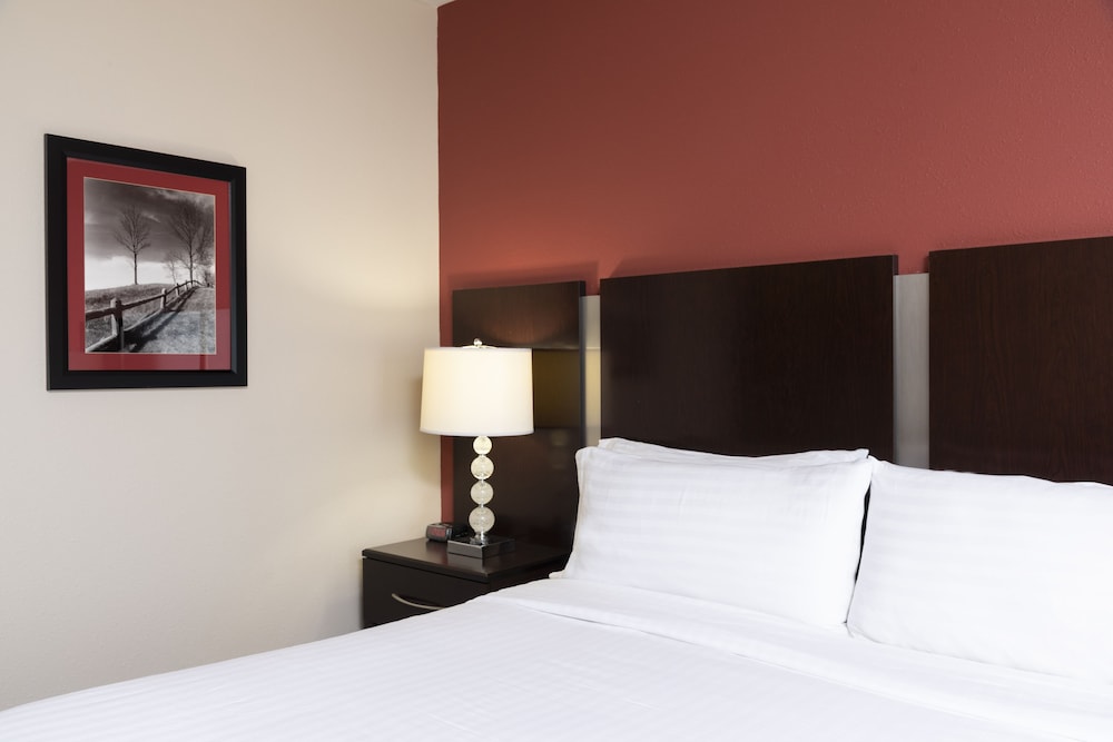Standard Room, 1 King Bed, Accessible (Comm Mobil Acc Roll In Shwr) - Photo 1