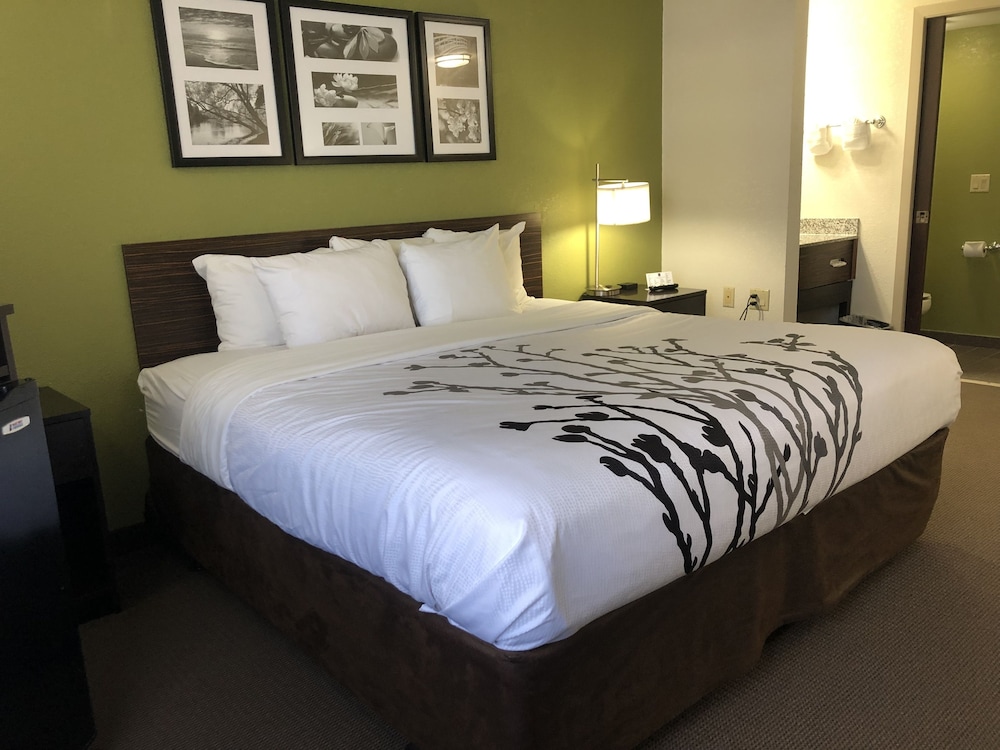 Standard Room, 1 King Bed, Non Smoking, Refrigerator & Microwave - Photo 2
