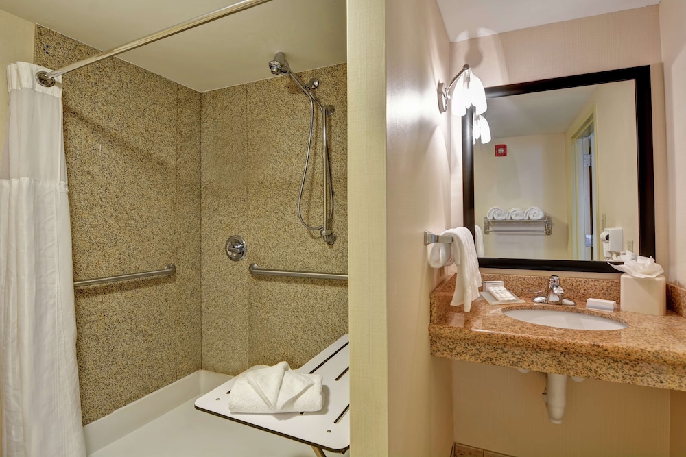 Room, 1 King Bed, Accessible, Non Smoking (Roll-in Shower) - Photo 5