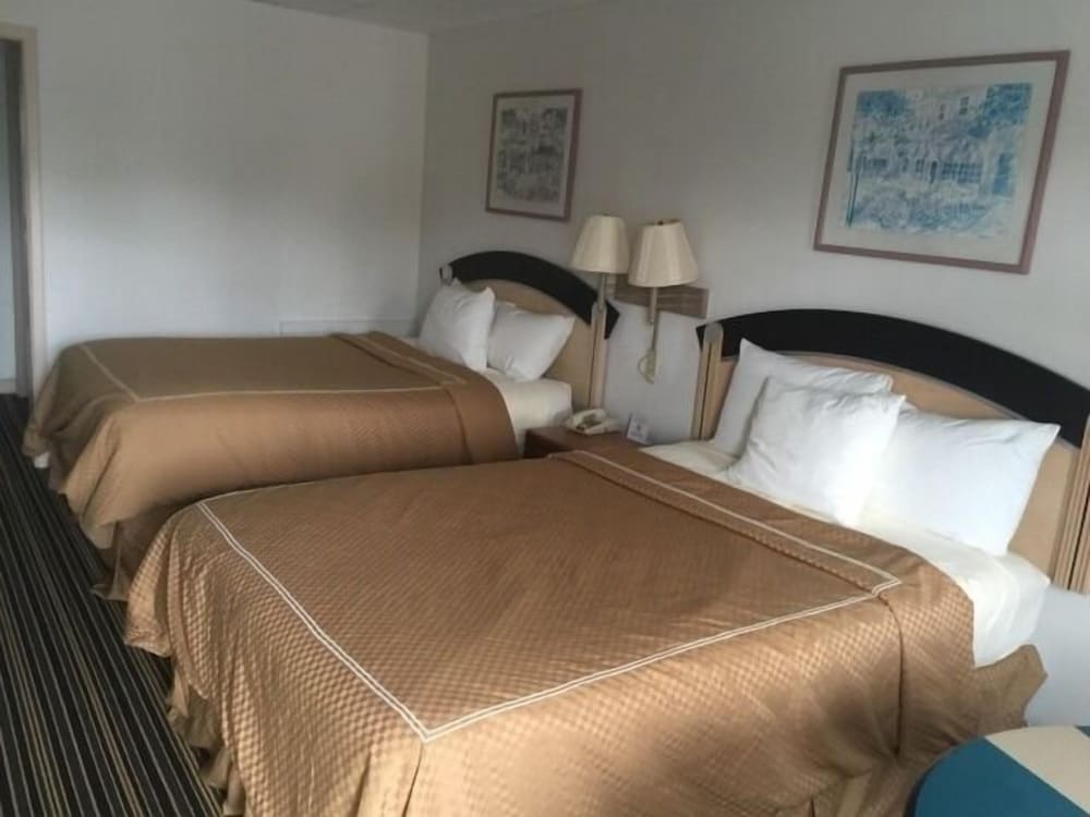 Standard Room, 2 Double Beds photo 1