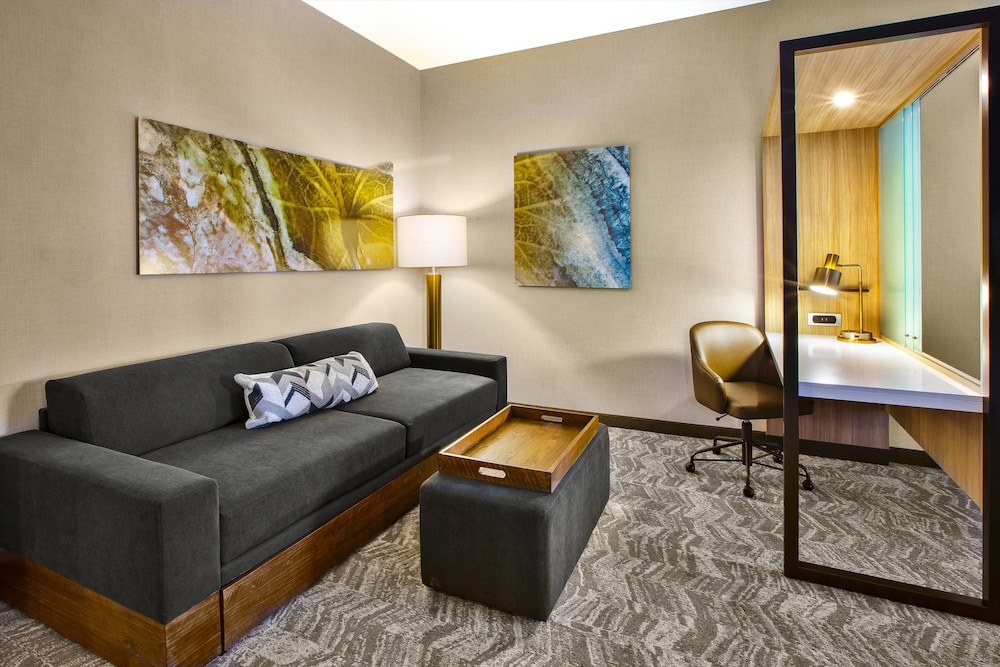 Suite, 1 King Bed with Sofa bed (Hearing Accessible) photo 3