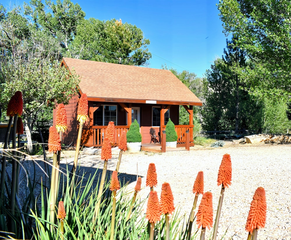 Romantic Cabin (Piney Cabin)