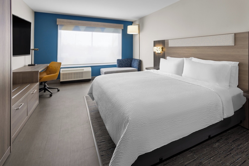 Room, 1 King Bed, Roll-in Shower (Communications, Mobility)