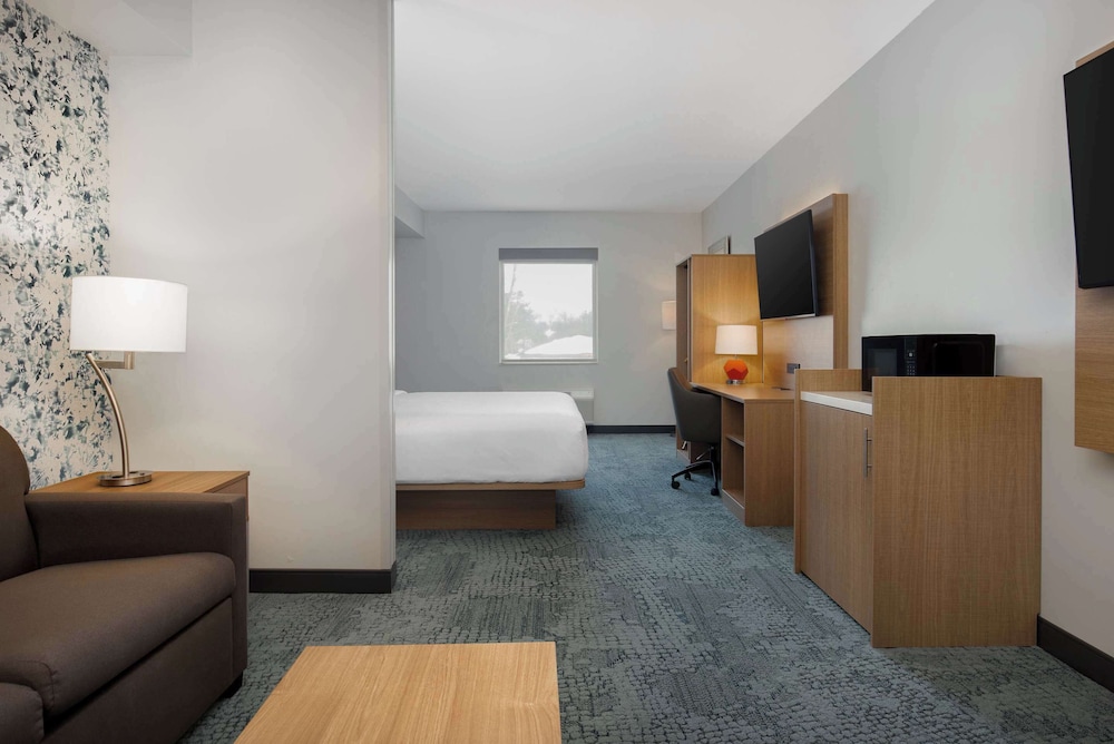 Suite, 1 King Bed with Sofa bed, Accessible, Non Smoking