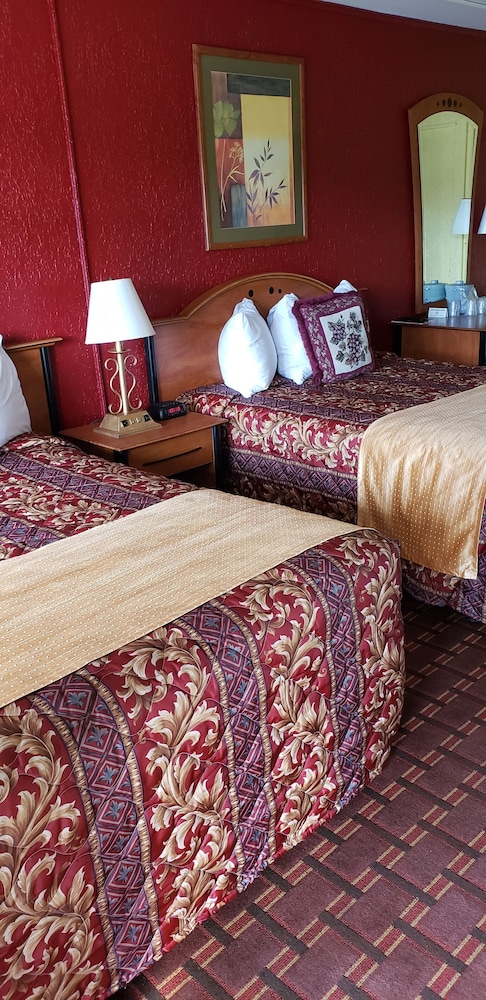 Double or Twin Room photo 1