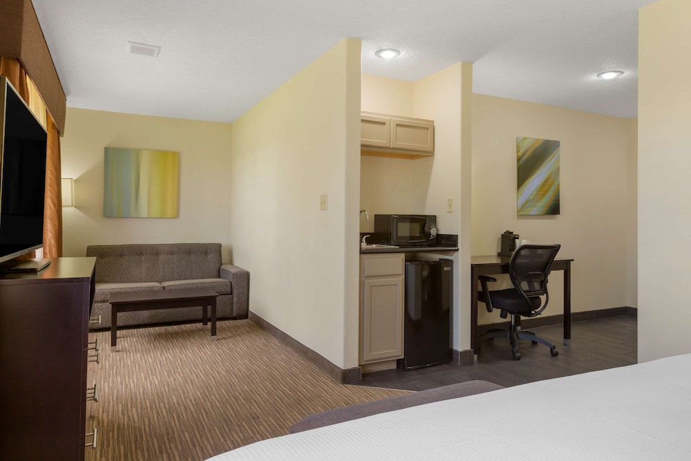 Junior Suite, 1 King Bed, Non Smoking, Refrigerator & Microwave (with Sofabed) - Photo 1