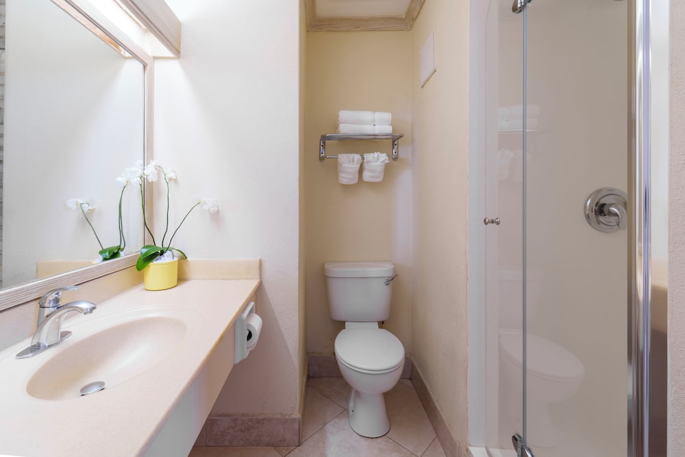 Room (garden Or Pool View)