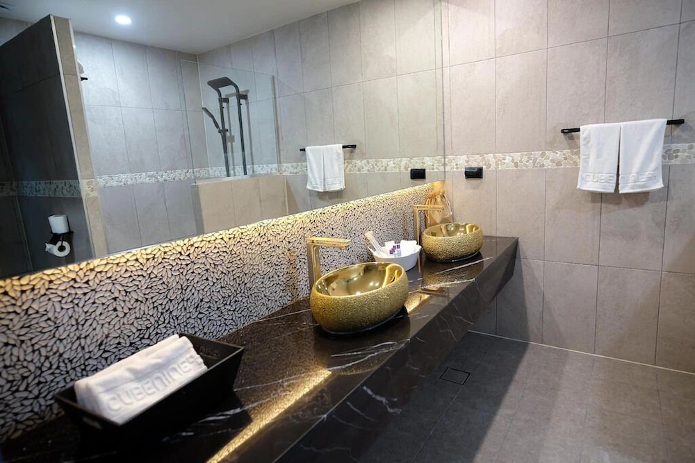 Deluxe Double or Twin Room photo 3