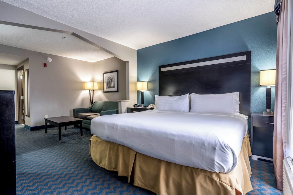 Suite, 1 King Bed, Accessible (Mobil, Roll In Shwr) - Photo 10