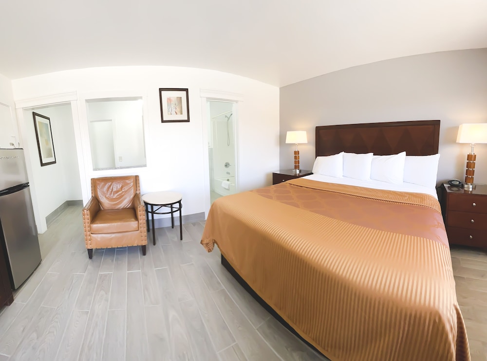 Economy Room, 1 King Bed, Refrigerator & Microwave photo 2