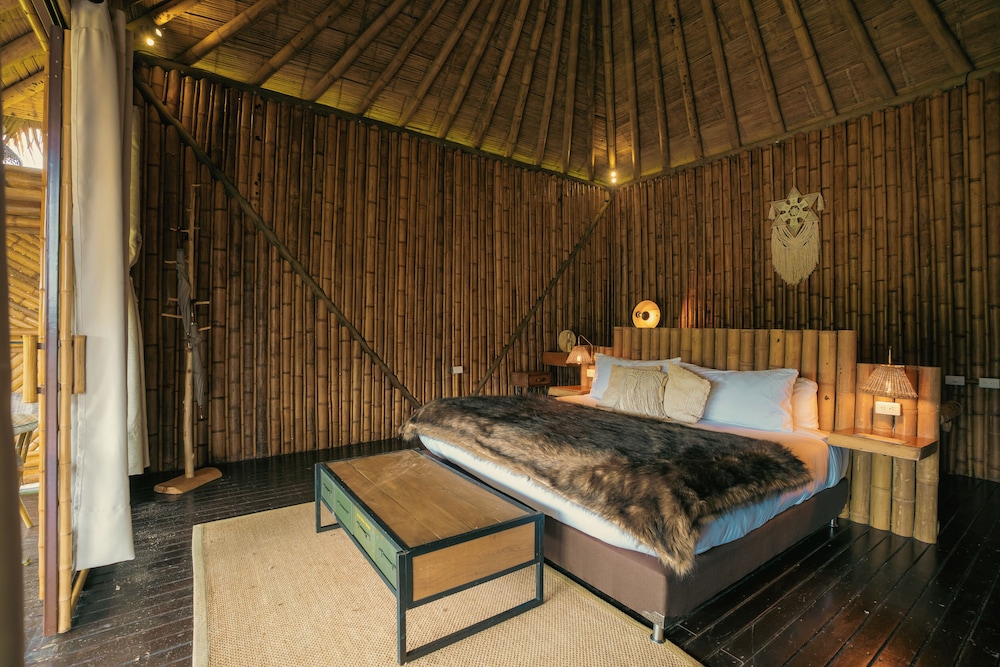 Bamboo Palace Banana - Photo 4