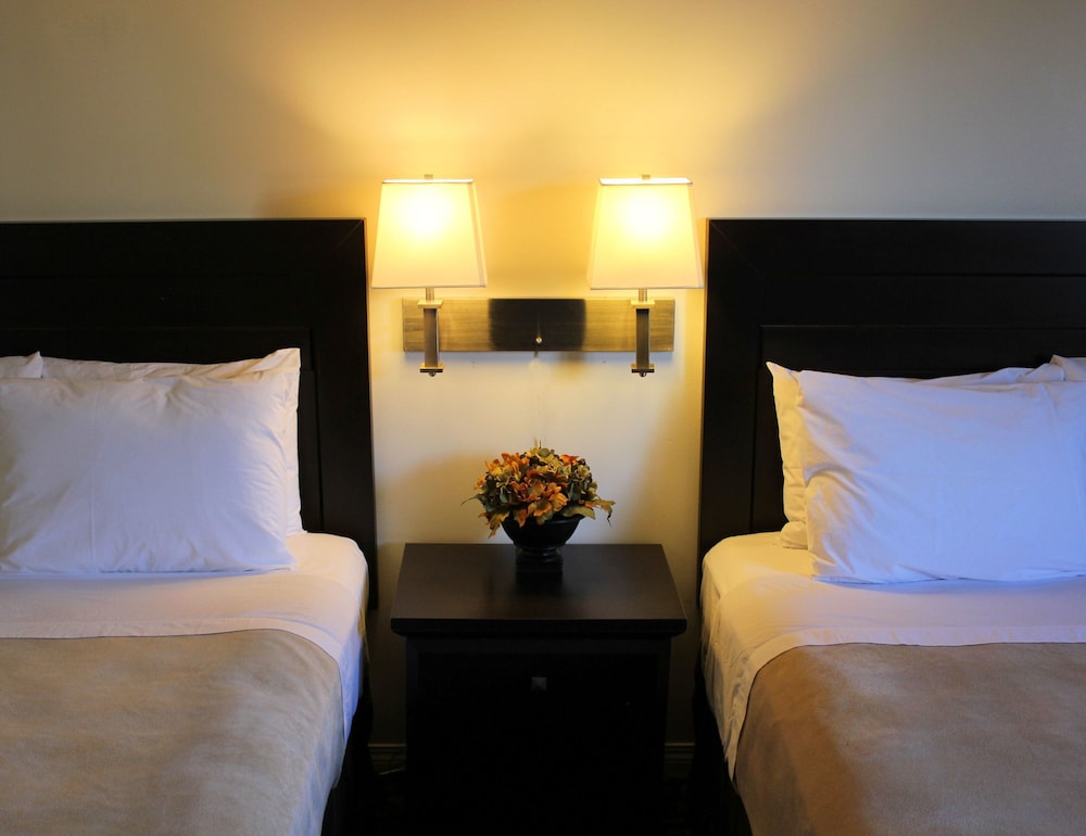 Superior Suite, 2 Queen Beds photo 1