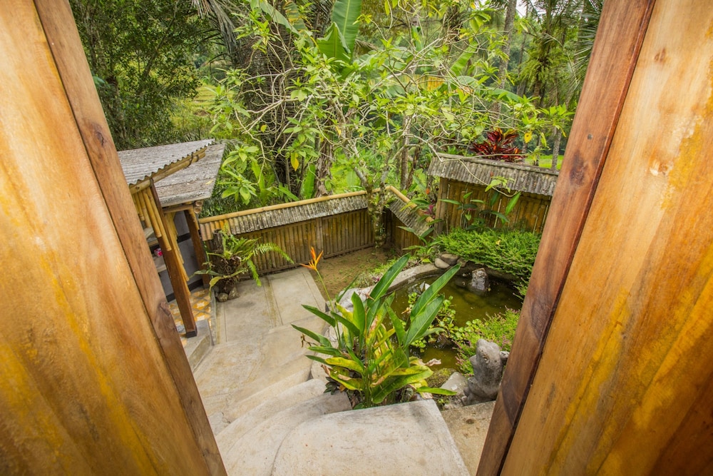 Bali Villa - Photo 19