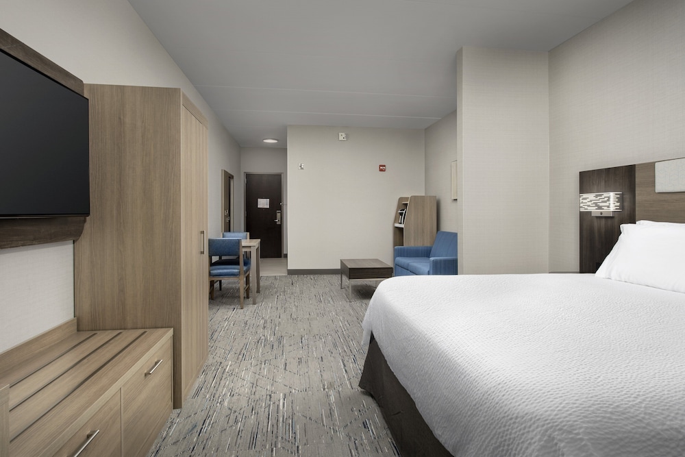 Suite, 1 King Bed with Sofa bed, Accessible (Comm, Mobil, Tub)