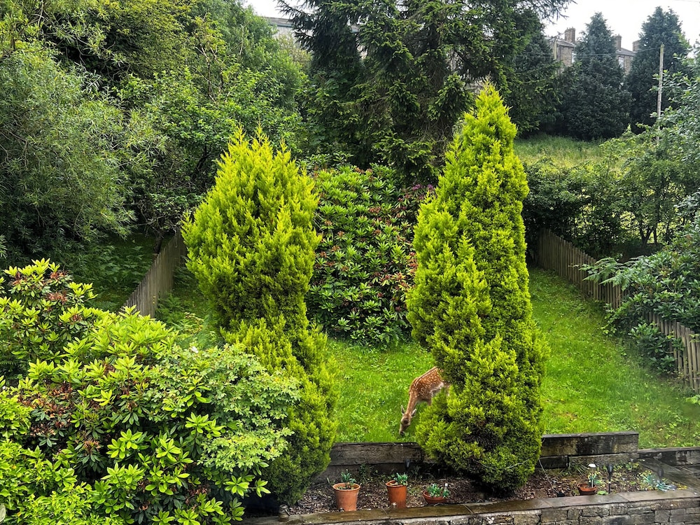 Cottage photo 1