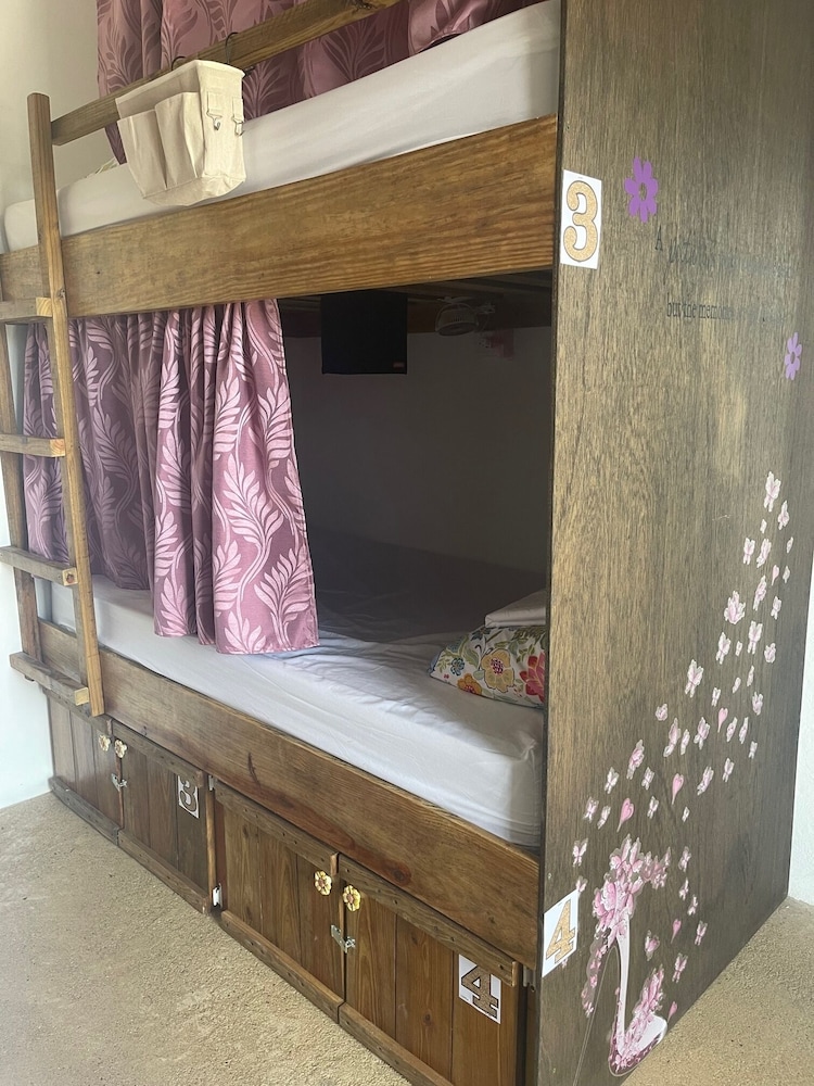 Basic Shared Dormitory photo 1