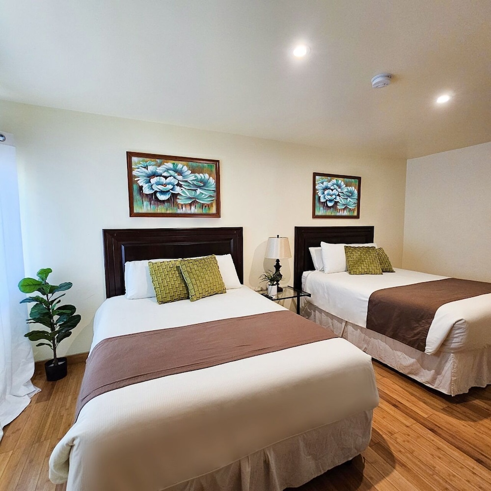 Executive Room, 2 Queen Beds photo 1