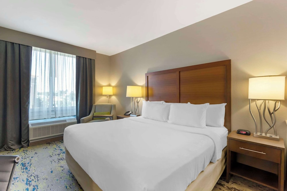 Suite, 1 King Bed with Sofa bed, Accessible, Non Smoking photo 1