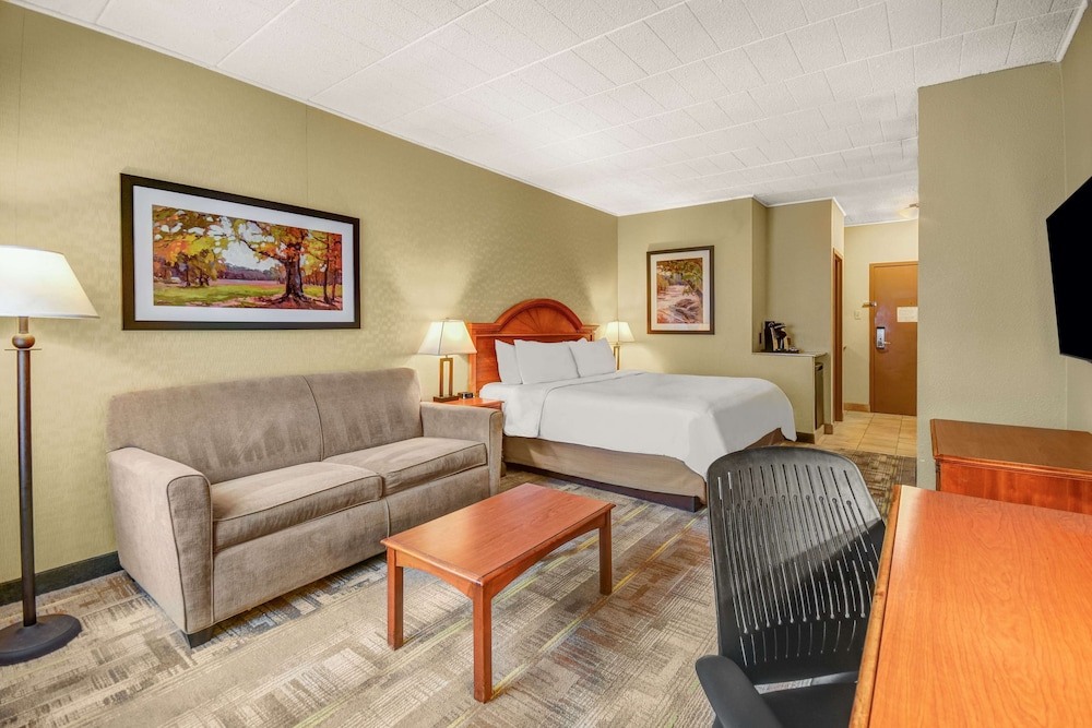 Room, 1 Queen Bed, Accessible - Photo 3