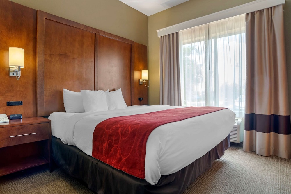 Suite, 1 King Bed, Non Smoking - Photo 3