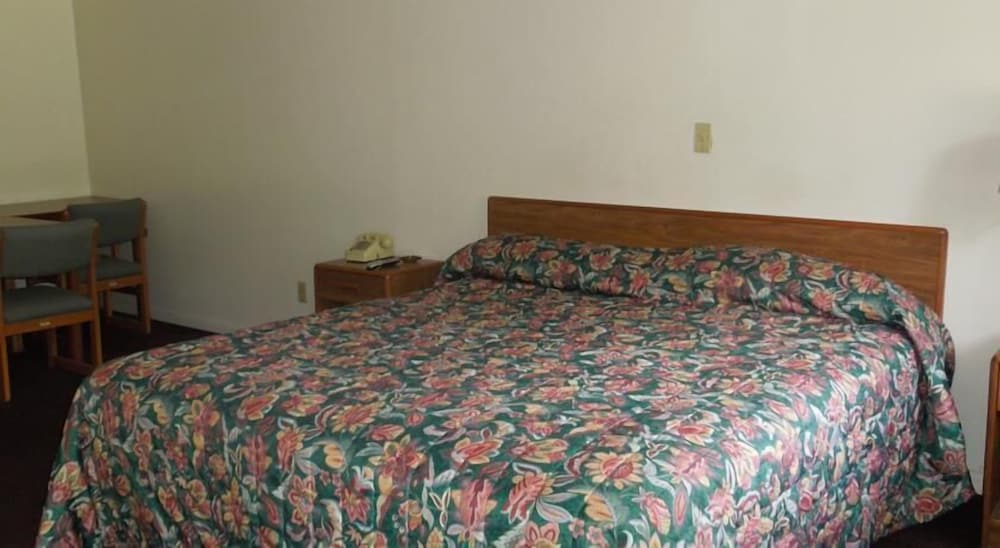 Room, 1 King Bed photo 1