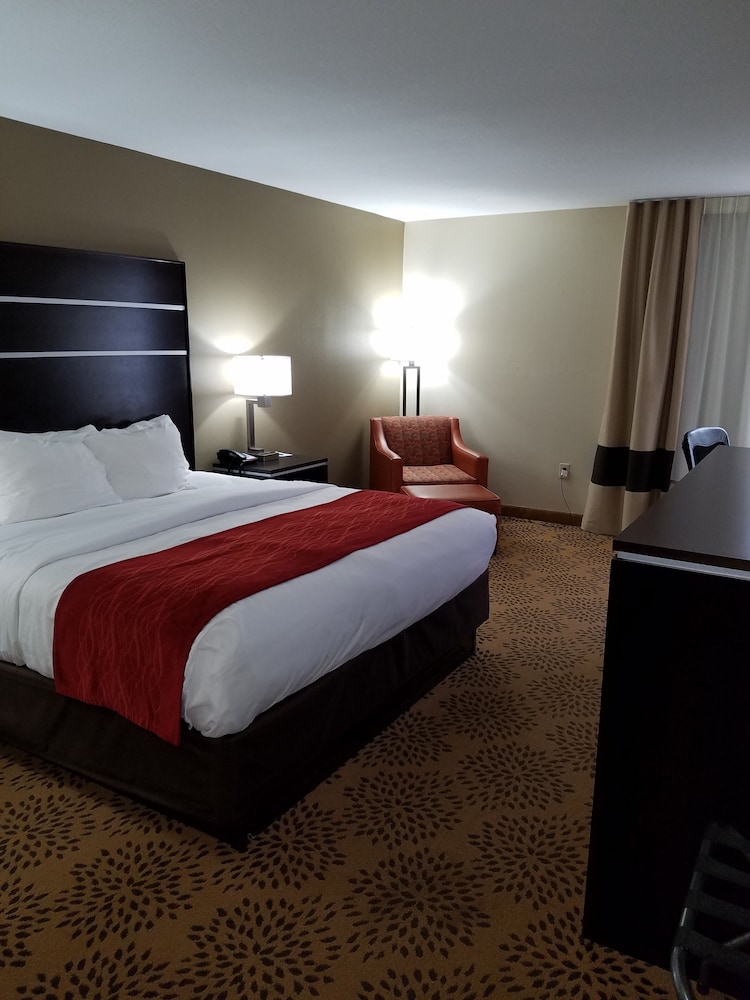 Standard Room, 1 King Bed, Non Smoking - Photo 3