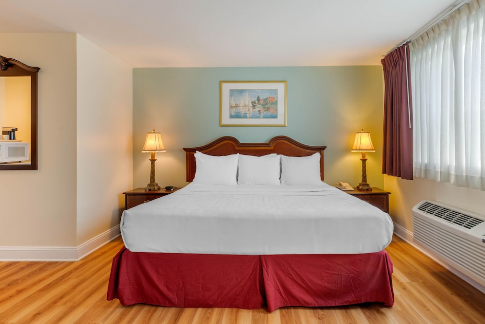 Premier Room, 1 King Bed, Accessible photo 3