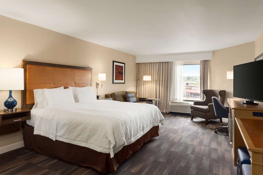 Suite, 1 King Bed, Non Smoking (Mini) photo 2