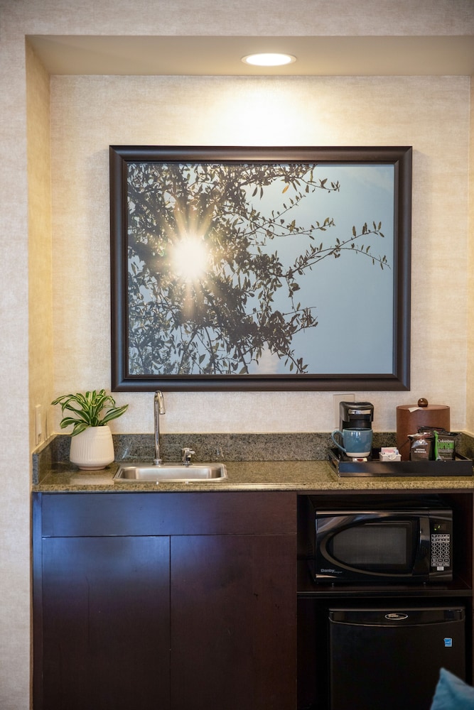 2 Queen Studio Suite - Photo 8
