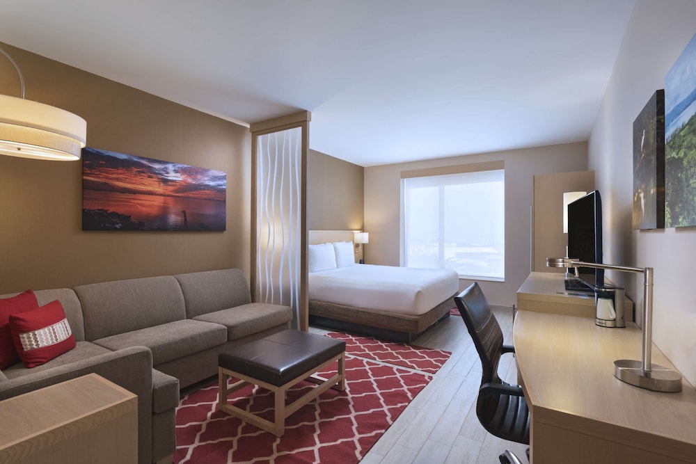 Room, 1 King Bed