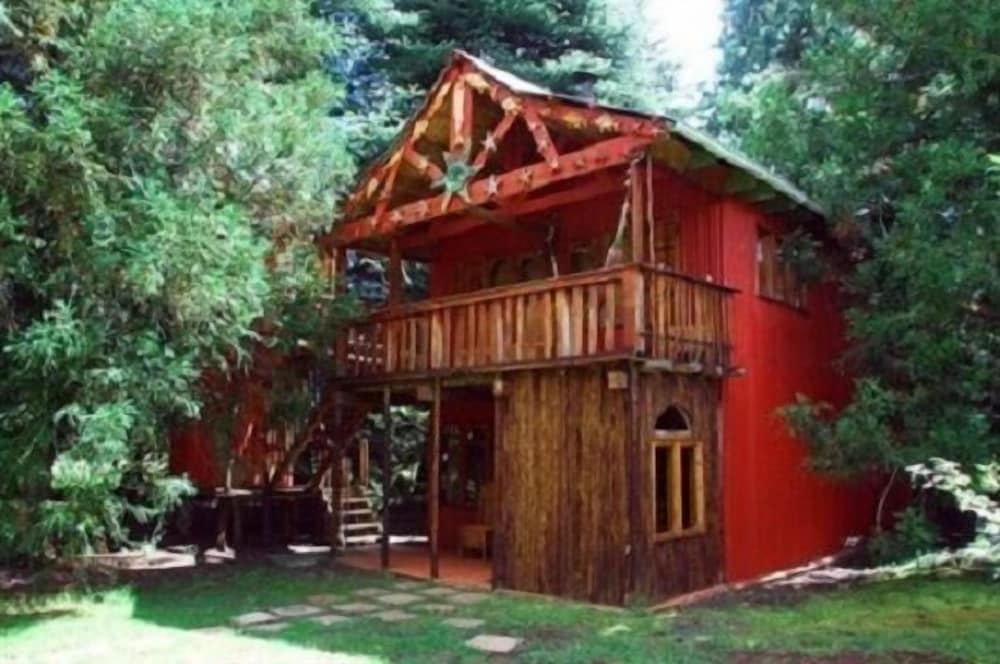 Planequarium Treehouse photo 3