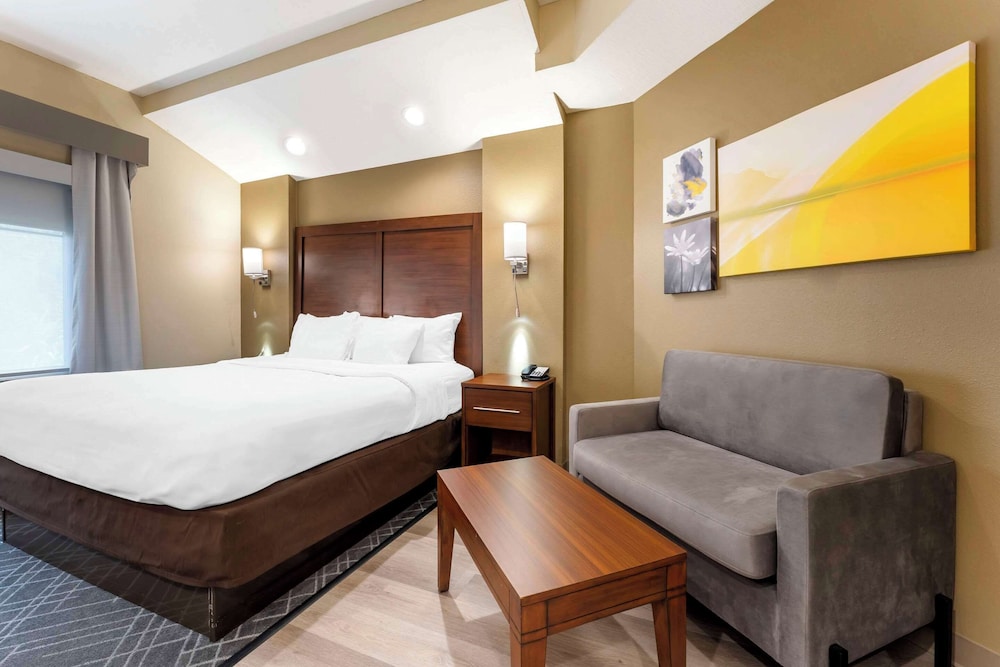 Presidential Suite, 1 King Bed, Non Smoking, Jetted Tub