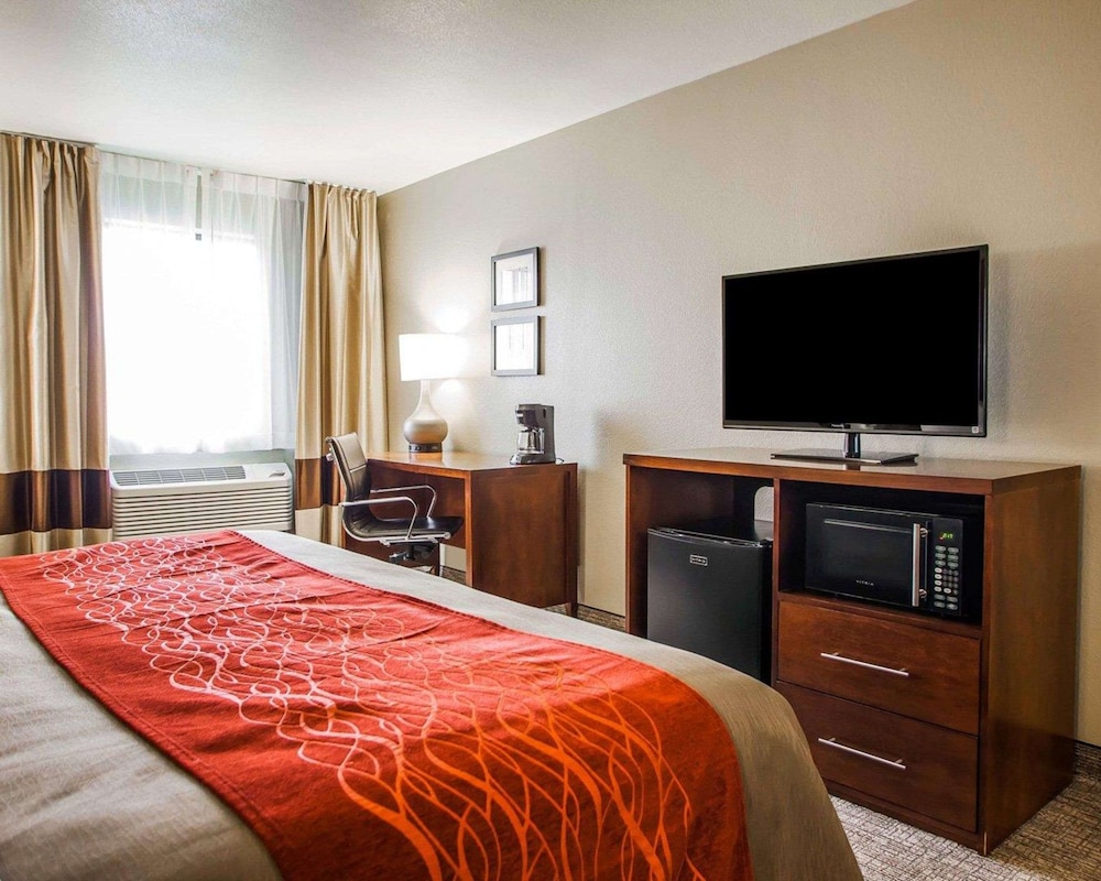 Standard Room, 1 King Bed, Non Smoking - Photo 6