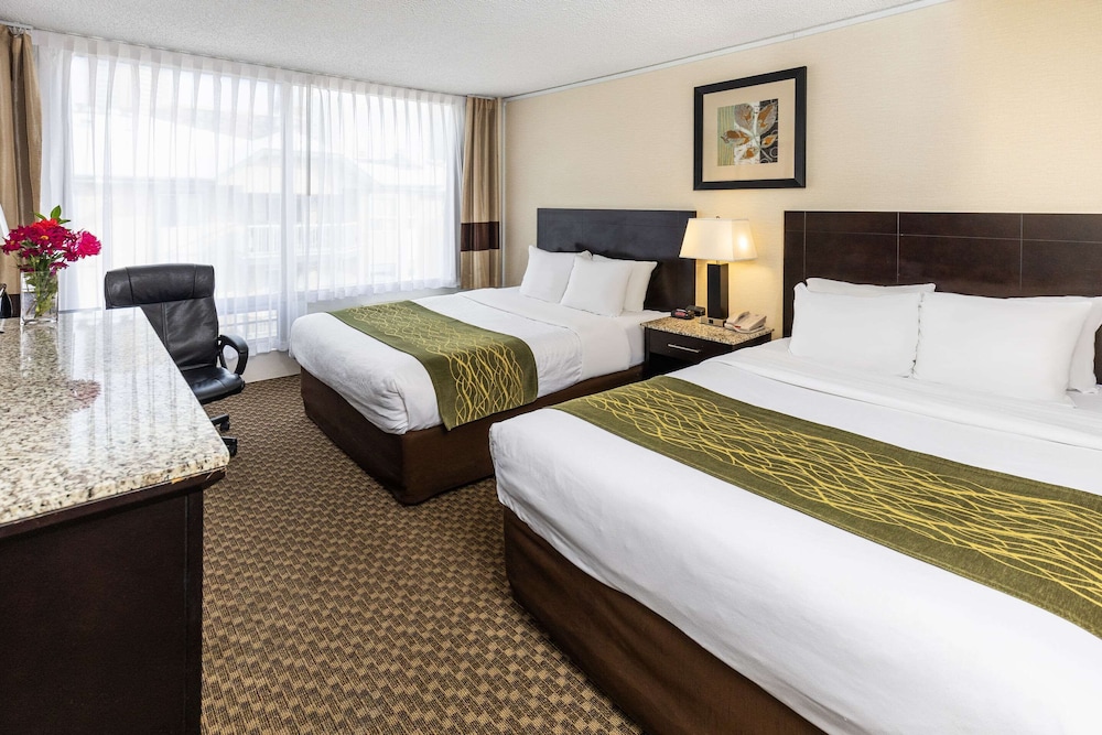 Standard Room, 2 Queen Beds, Non Smoking - Photo 1