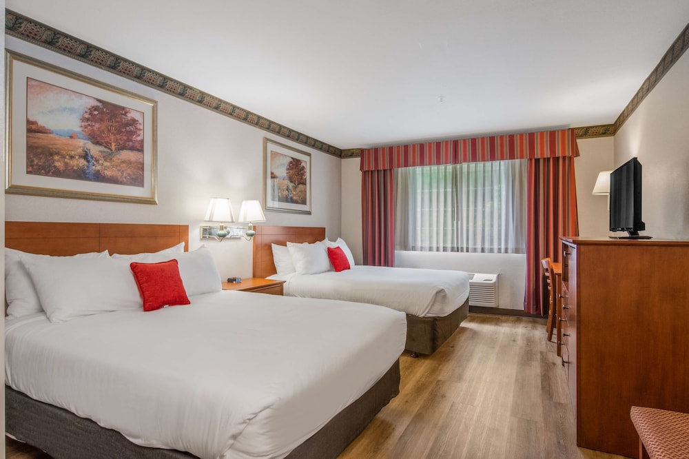 Suite, Multiple Beds, Non Smoking, Kitchenette