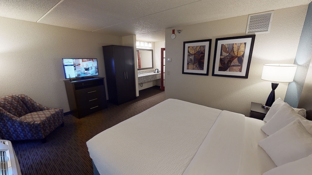 Deluxe Suite, 1 King Bed, Non Smoking (One-Bedroom Suite) - Photo 2