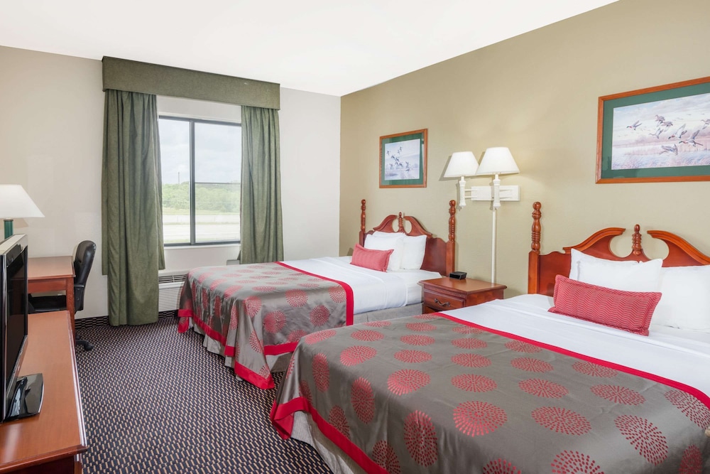 Studio Suite, Multiple Beds, Non Smoking - Photo 2