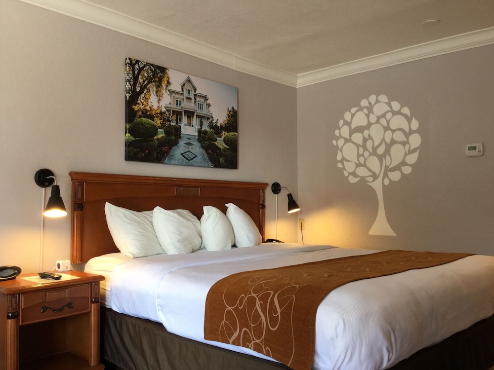 Premium Room, 1 Queen Bed, Non Smoking photo 1
